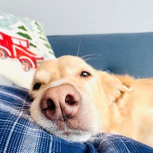 Meet your Posher, Caitlin